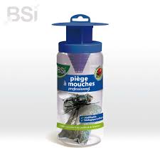 La mouche de l'olive a dans un environnement préservé (pas de spinosad!) un certain nombre de prédateurs (oiseaux, araignées, fourmis, carabes.) ou de parasites. Piege A Mouches Bsi Jardiland