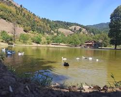 Image of دریاچه نیلوفر آبی (استخرگاه)