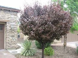 Pin On Gardens