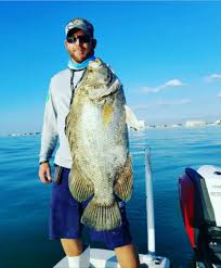 30 october 201730 october 2017.from the section sport. Tripletail Fishing Addiction Old Salt Fishing Foundation