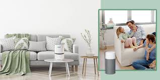 Levoit air purifier for home large room with true hepa filter. 12 Best Air Purifiers That Are Effective And Safe Today