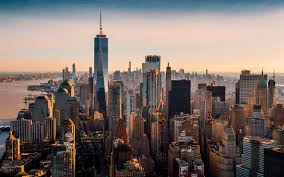 Image result for anglický setr lawerak