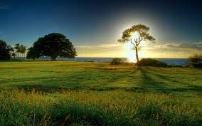 Dihalaman ini anda akan melihat wallpaper landscape lucu yang keren! Best Wallpapers Landscape Desktop Backgrounds Windows 10 1920x1200 Download Hd Wallpaper Wallpapertip