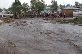 Image result for tondra-drano malagasy