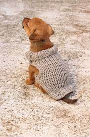 That means you could knit this for your entire furry family! Puppy Sweater Knitting Pattern Xs Puppy Handy Little Me