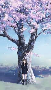 Cherry Blossom Iphone 5s Wallpaper Anime Cherry Blossom Cherry Blossom Wallpaper Iphone Cherry Blossom Wallpaper