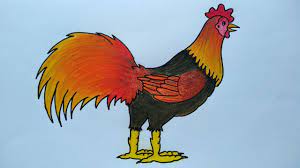 Maybe you would like to learn more about one of these? Belajar Menggambar Dan Mewarnai Ayam Cara Menggambar Ayam Jago Youtube