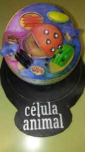 Eukaryotic animal cell 3d model. 3d Animal Cell Models Stlfinder