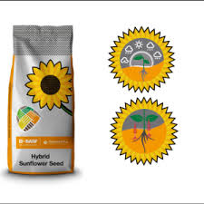 Image result for rez rzivost ostru%u017Einy