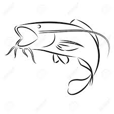 Maybe you would like to learn more about one of these? Graphic Catfish Vector Royalty Free Cliparts Vectors And Stock Illustration Image 51077891