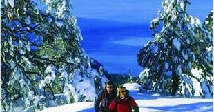Snowshoe In The Truckee Area To See The Sights Exercise And Have Family Fun Winter