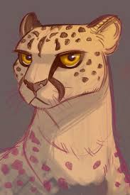 Cheetah Sketches By Heather Nesheim Daily Cat Drawings Big Cats Art Animal Drawings Cheetah Drawing