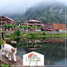 Uzungol Pansiyon Fiyatlari Uzungol Pansiyonlari Uzungol Otel Fiyatlari Uzungol Uygun Oteller