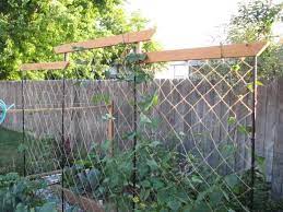 Great prices on trellis twine. Pin By Lindsay M On Garden Building A Raised Garden Pumpkin Trellis Building Raised Garden Beds