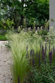 Stipa Salvia Nemorosa Caradonna And Centranthus Ruber Albus In Casal Garden In Madrid Dream Garden Gravel Garden Landscape Design