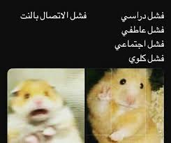 Funny Comments Instagram Friend Funny Comments Arabic Funny Funny Picture Jokes