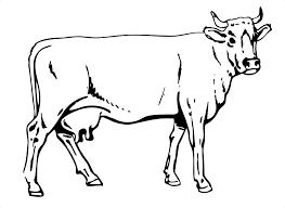 Once you find a printable coloring page you love, you want to make sure to use a set of colored pencils that you love. Free Printable Cow Coloring Pages For Kids