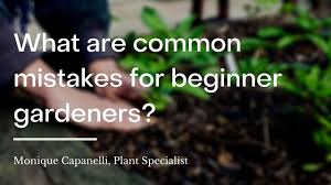 Tips for how to grow cucumbers from seeds in pots and ground are given including pollination, fertilization, pests, problems and the cause of its read below to learn how to grow cucumbers from seeds in containers. How To Grow Cucumbers In Pots With Pictures Wikihow