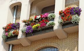 Best plants for a shady window box. Window Box Containers Michigan Bulb Blog