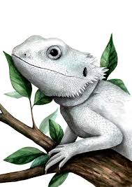 How to draw a bearded dragon. Bearded Dragon Art Reptile Painting Lizard Decor Reptile Lover Etsy In 2021 Dragon Art Cute Fantasy Creatures Cute Lizard