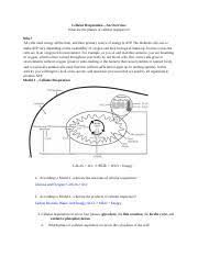 You have remained in right site to start getting this info. Pogil Cellular Respiration Docx Cellular Respirationan Overview What Are The Phases Of Cellular Respiration Why All Cells Need Energy All The Time Course Hero
