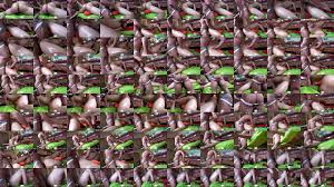 Quick review of basic anatomy of prostate/pelvis. Juicy Lucas Prostate Xvideos Com