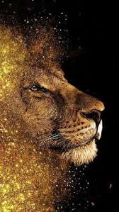 In silbernem schilde ein (heraldisch rechts gewendeter) schwarzbewehrter, silberngezahnter roter löwe. 86 Eintracht Braunschweig Ideen In 2021 Eintracht Braunschweig Eintracht Braunschweig