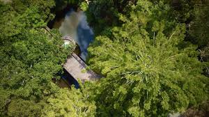 Image result for Woodfordia