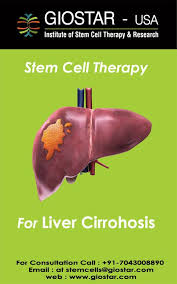 Pin On Stem Cell Therapy