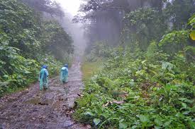 We did not find results for: Aktivitaten In Monteverde Meine Empfehlungen