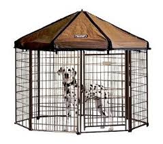 This is an excellent kennel. 10 Best Outdoor Dog Kennels In 2021 Reviews Top Picks Doggie Designer