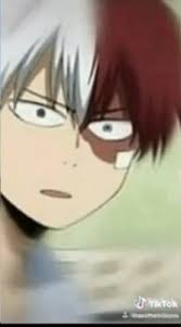 Maybe you would like to learn more about one of these? Here Have Some Low Quality Images Todoroki Kun Protect Group