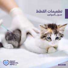 إذا كنت تمتلك قطة في منزلك أو تريد اكتلاك واحدة فالبتأكيد تحرص على صحتها وصحة أسرتك في نفس الوقت لذلك تطعيمات القطط مهمة جدا ويجب إعطائه Cats Animals Medical