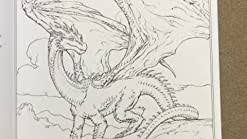 Affordable and search from millions of royalty free images, photos and vectors. Amazon Com The Official Eragon Coloring Book The Inheritance Cycle 9781524718749 Paolini Christopher Ciruelo Books