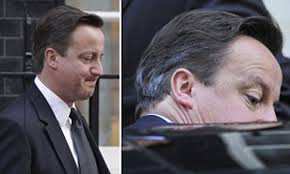 EU referendum: David Cameron shows the strain after biggest ever Tory  mutiny
