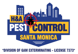 The kind of pest control santa monica ca can count on from us is provided in the context of a licensed and insured service that fully complies with every applicable law and regulation for our industry. 1 Pest Control In Santa Monica Ca Top Exterminator For Rodents