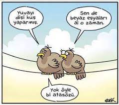 dovizchi yaz donemine girdigimiz su gunlerde en cok da altin fiyatlari yeni evlenecek ciftlerin basini agritiyor gram altin 114 tl komik karikatur atasozleri