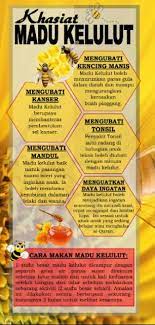 Madu berasal daripada lebah yang mendapatkan nektar dari sari bunga. New Madu Kelulut Asli 300gm Shopee Malaysia