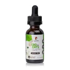 Learn what science and experts say about cbd's benefits, risks, different ways the get more information about treatment goals for inflammatory arthritis, which includes both pain management and the prevention of joint and organ. Prescription Thc Oil For Sale In Houston Fda Cbd Oil Does It Show Up As A Drug Test Hw News Hindi
