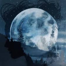 Ali Gatie Moonlight Lyrics Genius Lyrics Videoklip a text piesne can't lie (lyrics video) od ali gatie. ali gatie moonlight lyrics genius