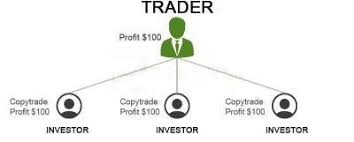 Bitcoin bitcoin trading service trading signals, btc signals trading service. Copy My Trades How To Automatically Copy Bitcoin Trades From Master Traders For Free Oliodigest Trading