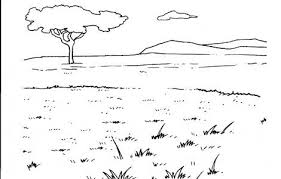 Animal Habitats Coloring Pages Coloringpageskid Com Jungle Coloring Pages Animal Habitats Animal Coloring Pages