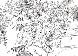 Papier Peint Jungle Tropical Noir Et Blanc Big Panoramique Papier Peint Jungle Papier Peint Papier Peint Original