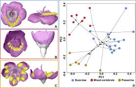 Part of the a360 media entertainment group. Modularity Increases Rate Of Floral Evolution And Adaptive Success For Functionally Specialized Pollination Systems Communications Biology