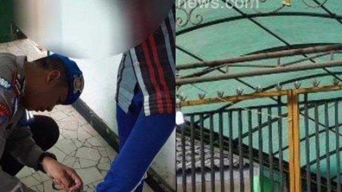 Hasil gambar untuk Tangannya Diborgol, Bocah 13 Tahun ini Disekap Oleh Orangtuanya di Kandang Ayam"