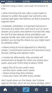 Tips For Landscaping Your Junk Beautytipsteens Shaving Tips Shaving Bikini Area How To Properly Shave