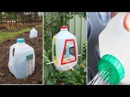 The Plastic In Milk Jugs Is Very Sturdy Making Them Useful For A Variety Of Purposes Especially In The Garden Here In 2020 Milk Jug Crafts Milk Jugs Garden Milk Jug