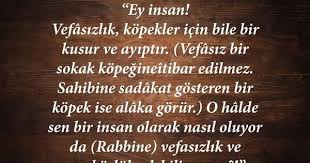 Juli S Adli Kullanicinin Hz Mevlana Panosundaki Pin Ozlu Sozler Gercekler Sadakat