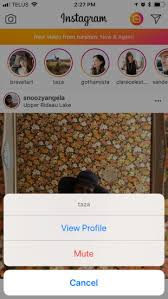 Is there any need to mute someone on instagram? How To Use Instagram Mute And How Not To Get Muted