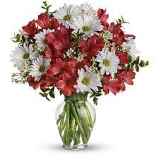 Named after the swedish baron, jonas alstomer, by his friend carolus linnaeus in 1753. Alstroemeria Peruvian Lily Flower Meaning Symbolism Teleflora